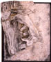 img_2_thum.jpg (10847 bytes)
