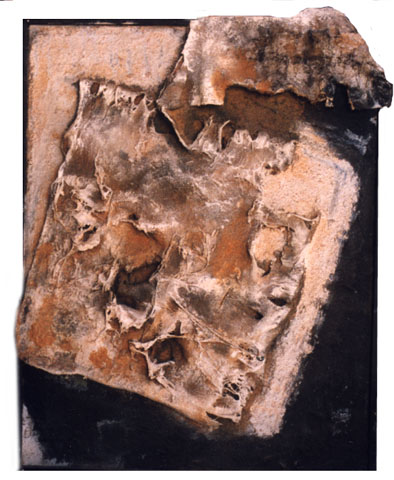 {short description of image}